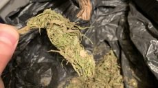 У жителя Харьковщины нашли наркотики