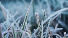 Морозы усилятся в Харьковской области