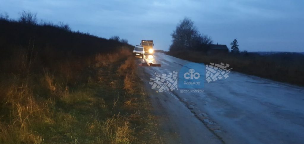 Грузовик с песком насмерть сбил мужчину под Харьковом (фото)
