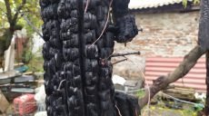 В Харькове сгорело хозяйственное здание (фото)