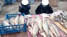 На рынках Харькова проверяют торговцев свежей рыбой