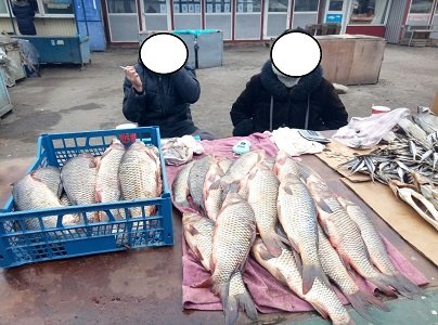 На рынках Харькова проверяют торговцев свежей рыбой