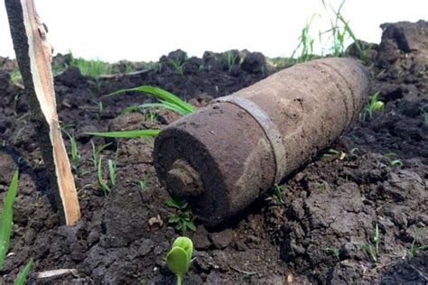 В Харьковской области подорвали 4 артснаряда и 2 минометные мины (фото)