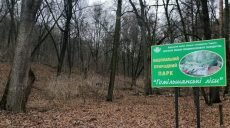 Директором «Гомольшанских лесов» хочет стать пчеловод с земельными владениями под Змиевом