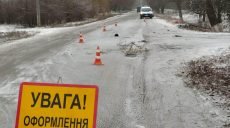 Под Харьковом пьяный водитель насмерть сбил человека и уехал (фото)