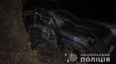 На Харьковщине в ДТП пострадали трое детей (фото)