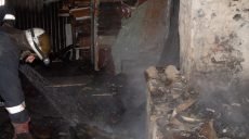 Домовладелец погиб во время пожара в летней кухне (фото)