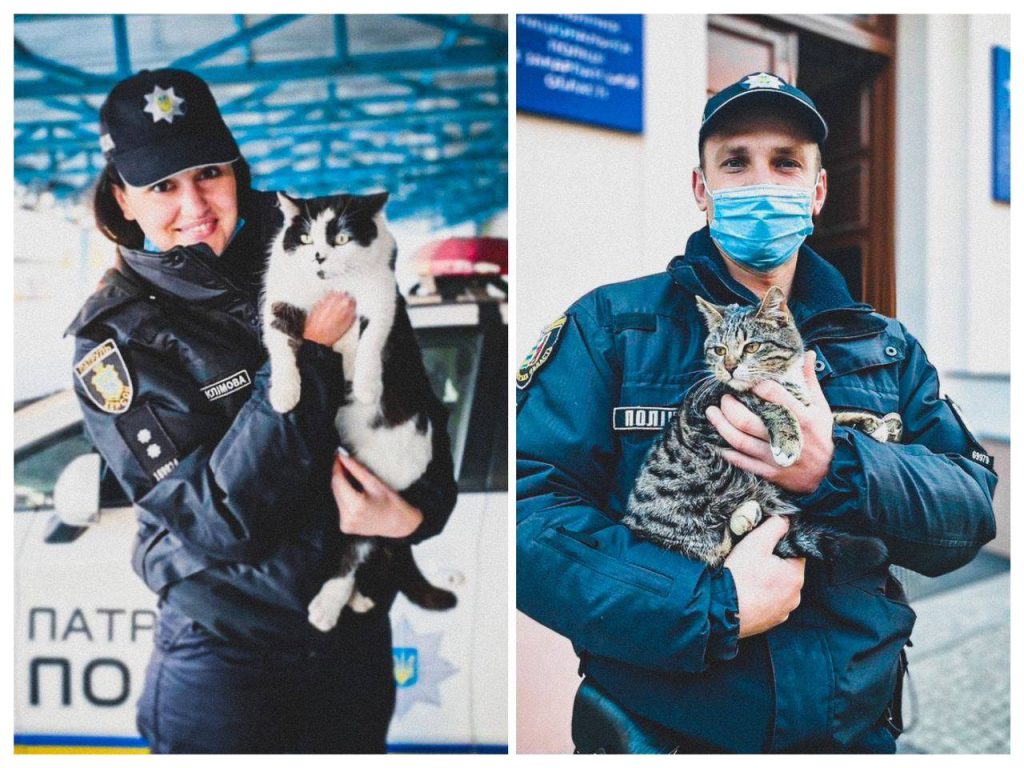 Полицейские и коты. Национальная полиция Украины начинает рабочую неделю с позитивных постов в соцсетях