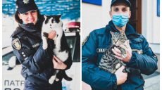 Полицейские и коты. Национальная полиция Украины начинает рабочую неделю с позитивных постов в соцсетях