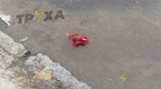 В харьковском дворе оставили гранату с красным бантом (фото)