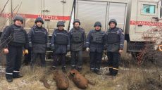 В поле на Харьковщине нашли 100-килограммовую авиабомбу (фото)