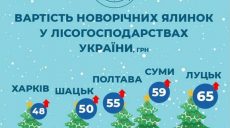 В Харькове будут самые низкие цены на новогодние елки в Украине (инфографика)