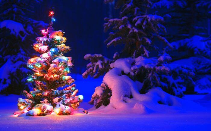 1,2 и 3 января в Харькове снега не ожидается