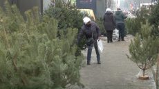 У Харкові поліцейські провели рейд по ялинкових ринках