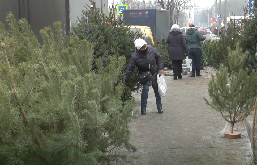 У Харкові поліцейські провели рейд по ялинкових ринках