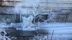 В Харькове образовался «ледяной фонтан» (фото)