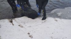 В Балаклейском районе мужчина провалился под лед и погиб
