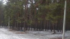 Под Харьковом ищут вандалов