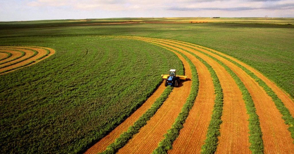 Громадам Харьковщины передали более 172 тыс. га сельскохозяйственных земель