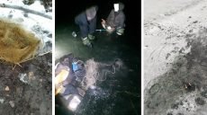 Потепление облегчило жизнь харьковским браконьерам