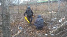 В посадке на Московском проспекте нашли мину (фото)