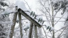 В районах Харьковщины из-за снегопада отключают свет