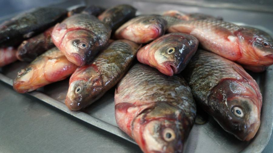 На харьковском рынке нашли более 70 кило «бездокументной» рыбы