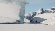 Украинские полярники показали, как откалывается огромный айсберг (фото)
