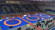 В Харькове прошел чемпионат Украины по вольной борьбе (фото)
