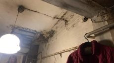 Медики обследовали детей из захламленного дома на Рымарской: все трое здоровы