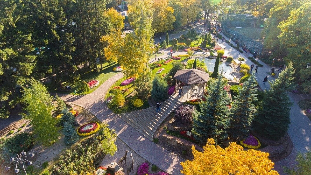 В 2020 році праворадикали напали на 118 людей – моніторинг (відео)