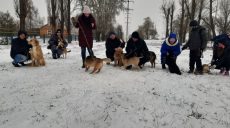 «Им нужна наша любовь и тепло»: харьковчане поддержали бездомных животных (фото)