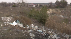 Мешканці Північної Салтівки потерпають від сміттєзвалища (відео)