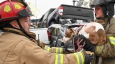 В США столкнулось 130 автомобилей, пострадало более 70 человек (видео)