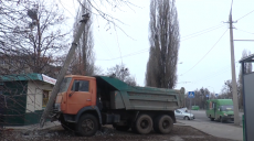 Вантажівка проти пасажирського автобуса: подробиці ДТП з постраждалими (відео)