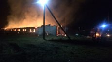 Полиция задержала поджигателей