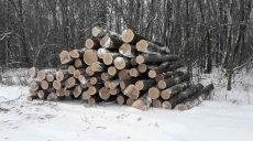 Двум жителям Харьковщины сообщили о подозрении в незаконной вырубке деревьев на 800 тыс. грн