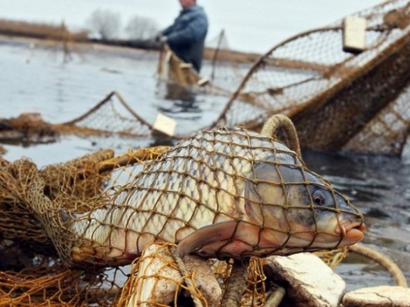 На Артемовском заливе поймали браконьеров, которые сетями ловили рыбу (фото)