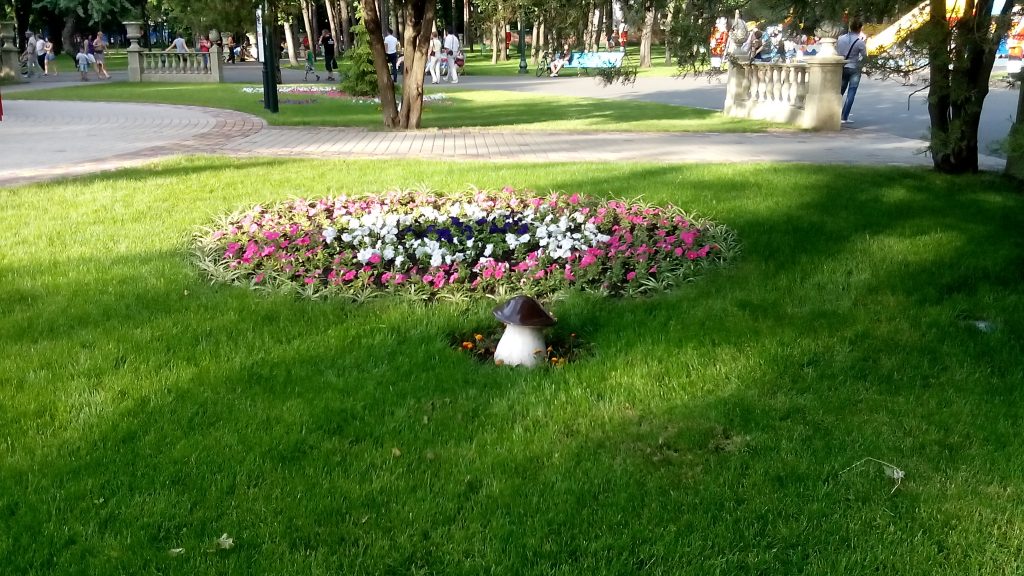 Харьковский парк потратит более 1,5 миллионов гривен на однолетние цветы