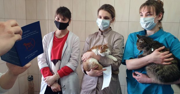 В Харькове начала работать первая бесплатная школа ассистентов для ветеринаров