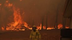 Австралию снова захватил огонь: уничтожен 81 дом, сотни людей эвакуированы