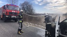В Харьковской области посреди дороги загорелся автомобиль (фото)