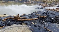 В Израиле экологическая катастрофа — разлив нефтепродуктов в прибрежной полосе