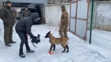 «Simon» нашел для Национальной гвардии Украины Симона (фото, видео)
