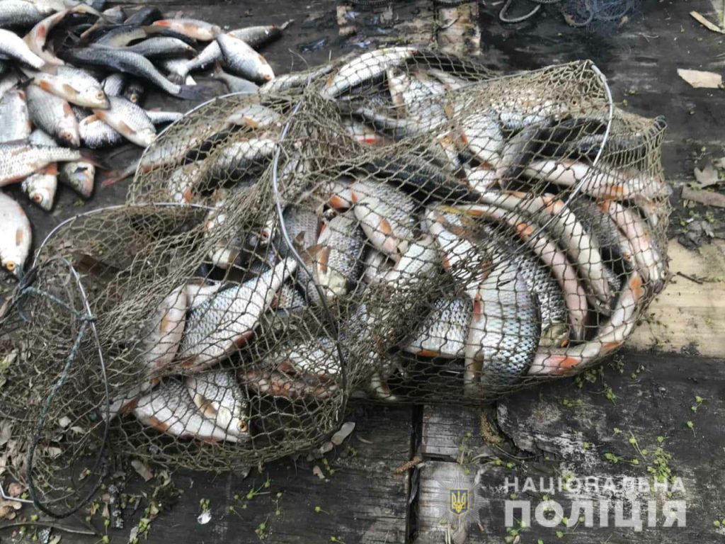 Выловил рыбы на кругленькую сумму: рыболову-браконьеру грозит до трех лет лишения свободы (фото)