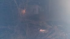 В садовом товариществе Харькова случился пожар (фото)
