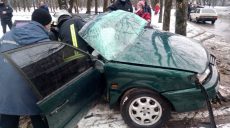 В Харькове спасатели деблокировали водителя из салона авто, врезавшегося в дерево (фото)