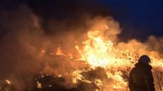 С весной в экосистемах Харьковщины снова увеличилось количество пожаров