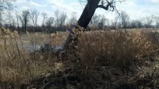 На Харьковщине продолжаются пожары в экосистемах (фото)