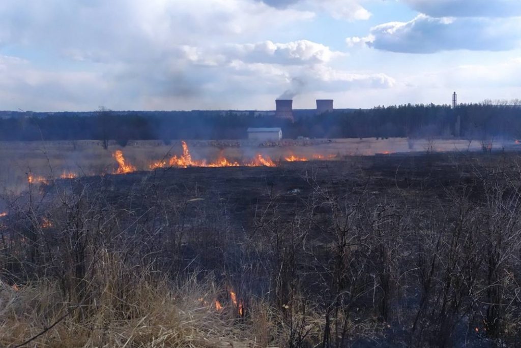 На Харьковщине огнем уничтожены теплицы (фото)
